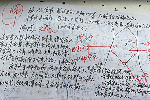 班光国中医思维和病案分析班光国讲乌梅丸录音录音课程病案资料百度云网盘下载学习