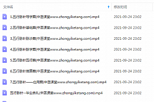 红杏林五行脉针视频课程9集张志兴主讲百度云网盘下载学习中医针灸教程