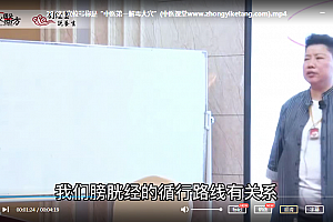 2021年刘红云董氏奇穴针灸视频课程44集百度云网盘下载学习中医董氏奇穴教程