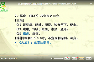 岐黄学院袁恺经络腧穴学精品视频课程42集百度云网盘下载学习中医教程