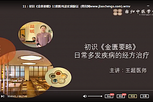 王超初识伤寒论视频课程课件初识金匮要略视频合集百度云网盘下载学习