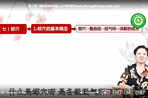 常小荣10天快速掌握特定穴临床应用技巧视频课程26集百度云网盘下载学习中医针灸教程