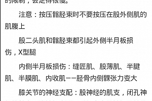 丁赵视频教程全集丁赵运动功能解剖学软组织徒手治疗3dbody呼吸与肩痛及脊柱侧弯百度云网盘下载学习