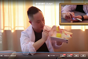 采耳视频教程专业采耳教程杨氏采耳新手采耳师自学课程教材百度云网盘下载学习