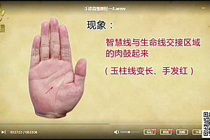 相易盟易手诊初级高级班视频课程合集13集百度云网盘下载学习
