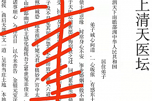 仲文天医坛《小米道法》二期视频音频资料百度云网盘下载学习