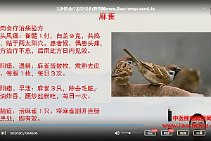 张振虎十二把锁推拿还阳术视频课程15集百度云网盘下载学习