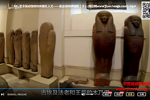 王昱珩环球博物馆中的自然科学视频课程21集完结百度云网盘下载学习