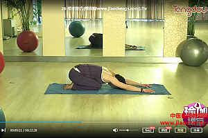 糖豆杨爱党初级瑜伽体式全套视频课程27集百度云网盘下载学习