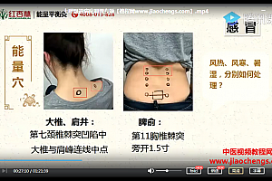 艾灸教程合集能量平衡灸实战班艾灸养生保健视频教程百度云网盘下载学习