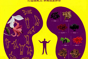 朱惠东著肾好才是硬道理电子书pdf百度云网盘下载学习