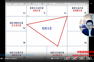郭子谊紫微斗数零基础到实战应用视频课程47集百度云网盘下载学习