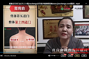 红杏林白丽娟补土派脏腑点穴初级班专业班视频课程合集百度云网盘下载学习