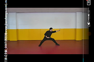 姜书洋三体式全解视频教程9集姜书洋三体式站桩教学百度云网盘下载学习