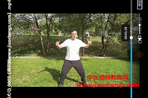 姜书洋金刚洗心功视频教程8集百度云网盘下载学习