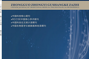 1989-2019年中国中医骨伤科杂志255期电子版合集百度云网盘下载学习