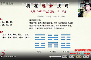 文玥梅花易数入门视频课程20集百度网盘下载学习