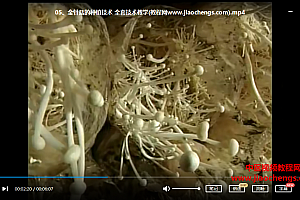 食用菌种植栽培技术视频教程资料大全金针菇香菇草菇黑木耳银耳种植教程百度网盘下载学习