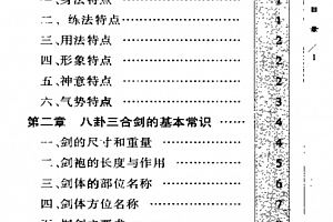 武术教材张全亮八卦三合剑235页电子书pdf百度网盘下载学习