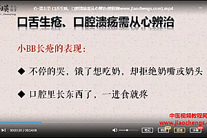 邵瑛推拿体质课视频课程43集完结百度网盘下载学习