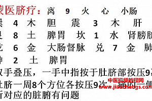 张洪瑞蒙医十二绝技特训营完整视频课程7集+1讲义百度网盘下载学习