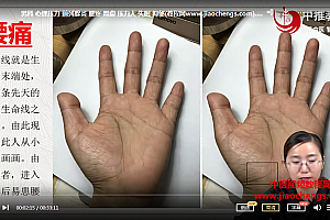 李盼盼木目手诊精确诊断常见病视频课程22集百度网盘下载学习