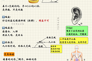 祝余根据倪海厦视频整理针灸大成笔记电子版pdf百度网盘下载学习