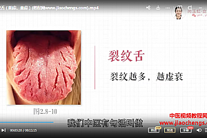 闫玉红零基础学舌诊16节高清版视频课程百度网盘下载学习