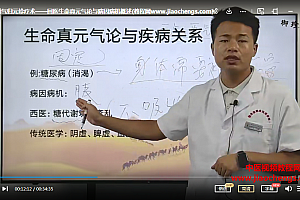 马世奎回医博气归元诊疗术视频课程14集百度网盘下载学习