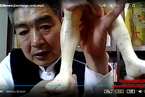 王德杰非遗太极冲针法治疗常见病与疑难杂症视频课程7集百度网盘下载学习