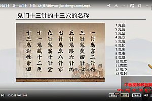 魏晓辉魏氏鬼门十三针视频课程32集百度网盘下载学习