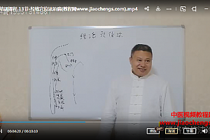 张云飞针灸高级班张云飞三皇针法祖传三绝针皮针耳穴治百病金手臂点穴教程百度网盘下载学习