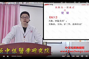 即慧中医扶阳龙脉灸经络基础篇视频课程19集百度网盘下载学习