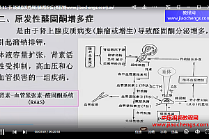 上海市同济医院内分泌科刘光辉纠酸补钾电解质视频课程20集百度网盘下载学习