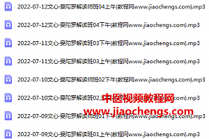 文心曼陀罗解读师班1-4期音频课程合集百度网盘下载学习