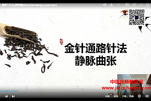 王越道医问衍针法视频课程48集百度网盘下载学习