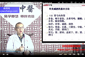 孙永军针刺减肥精准辨证取穴减肥不伤身视频课程14集百度网盘下载学习