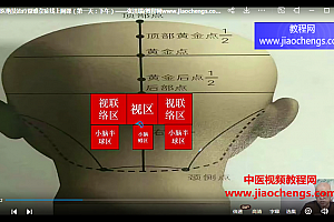 张洪瑞蒙医绝技治疗疑难杂症线上网课百度网盘下载学习