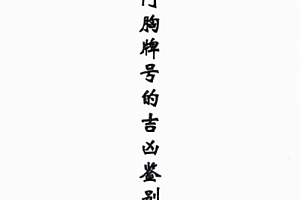 汤细加车门胸牌号的吉凶鉴别与化解电子书pdf200页百度网盘下载学习