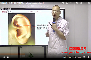 高膏全息耳穴点压术豆疗法视频课程10集百度网盘下载学习