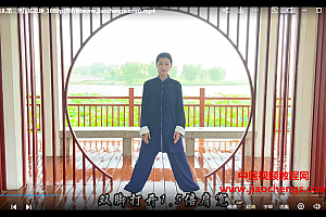 张莹升阳壮骨易筋经视频课程21集百度网盘下载学习