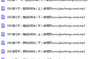 王致效常见病辨治精讲线上课音频14集百度网盘下载学习