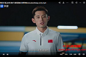 乒乓球视频教程合集尹航张继科乒乓球大师课乒乓球专业教学视频课程百度网盘下载学习