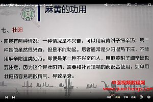 吴雄志用药法视频课程19集百度网盘下载学习