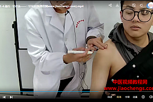 杨秉文主讲杨氏一针疗法视频课程25集百度网盘下载学习