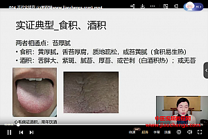 正安董晗舌诊实战营视频课程6集百度网盘下载学习