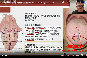 千金舌诊系统班视频课程22集中医舌诊教程百度网盘下载学习