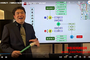 林大栋中医辨证学八纲辨证视频课程11集百度网盘下载学习
