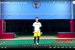 刘辉羽毛球全场轻技术视频课程21集百度网盘下载学习