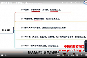 古训堂《伤寒论》条文讲解视频课程102集百度网盘下载学习